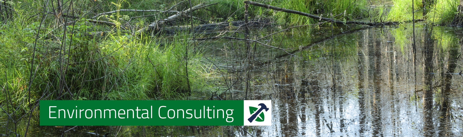 EnviroConsulting-Header